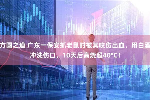 方圆之道 广东一保安抓老鼠时被其咬伤出血，用白酒冲洗伤口，10天后高烧超40°C！